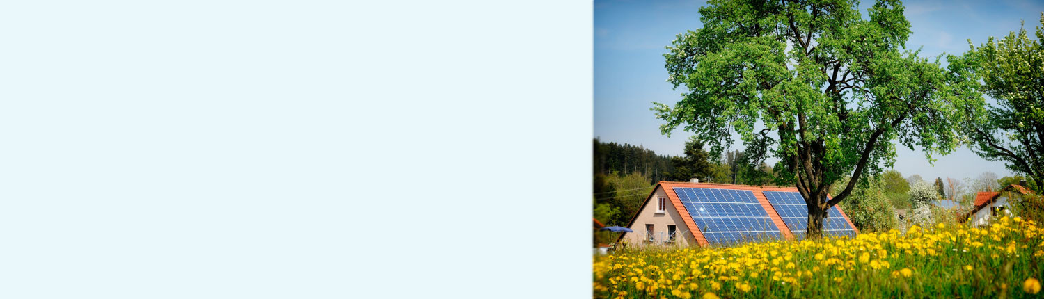 Sustainability Mega Planning future