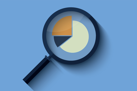 Organisational staff surveys reports