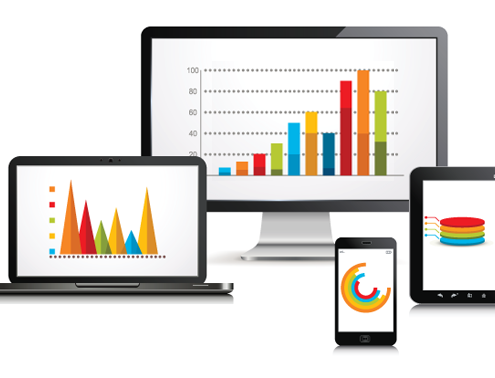 Organisational staff surveys reports